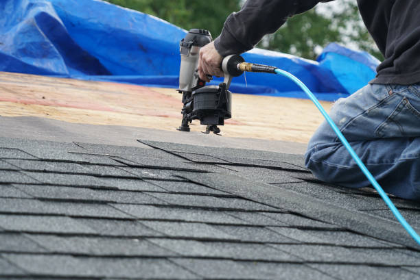 Best Roof Gutter Cleaning  in Rainbow Lakes, NJ